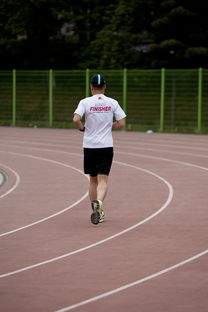 篮球专项技能训练负荷调节与效果评估研究，基础阶段篮球训练负荷安排