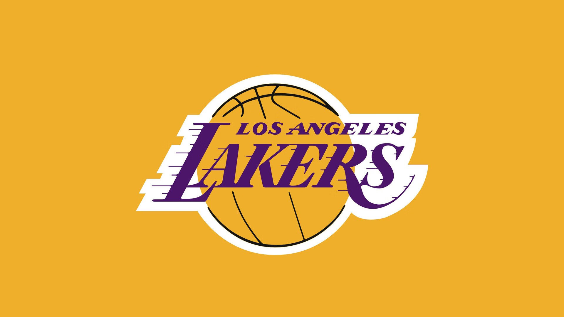 篮球运动员专项技术动作的运动学特征研究，篮球运动员基本技术